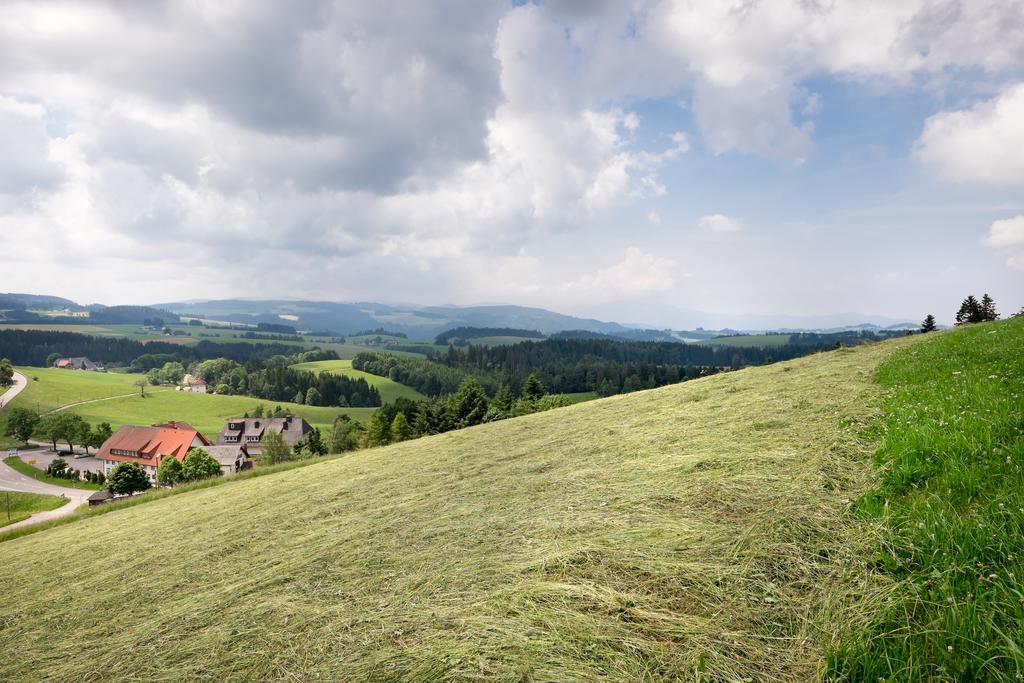 Gasthaus Sonne Neuhaeusle Sankt Märgen Esterno foto